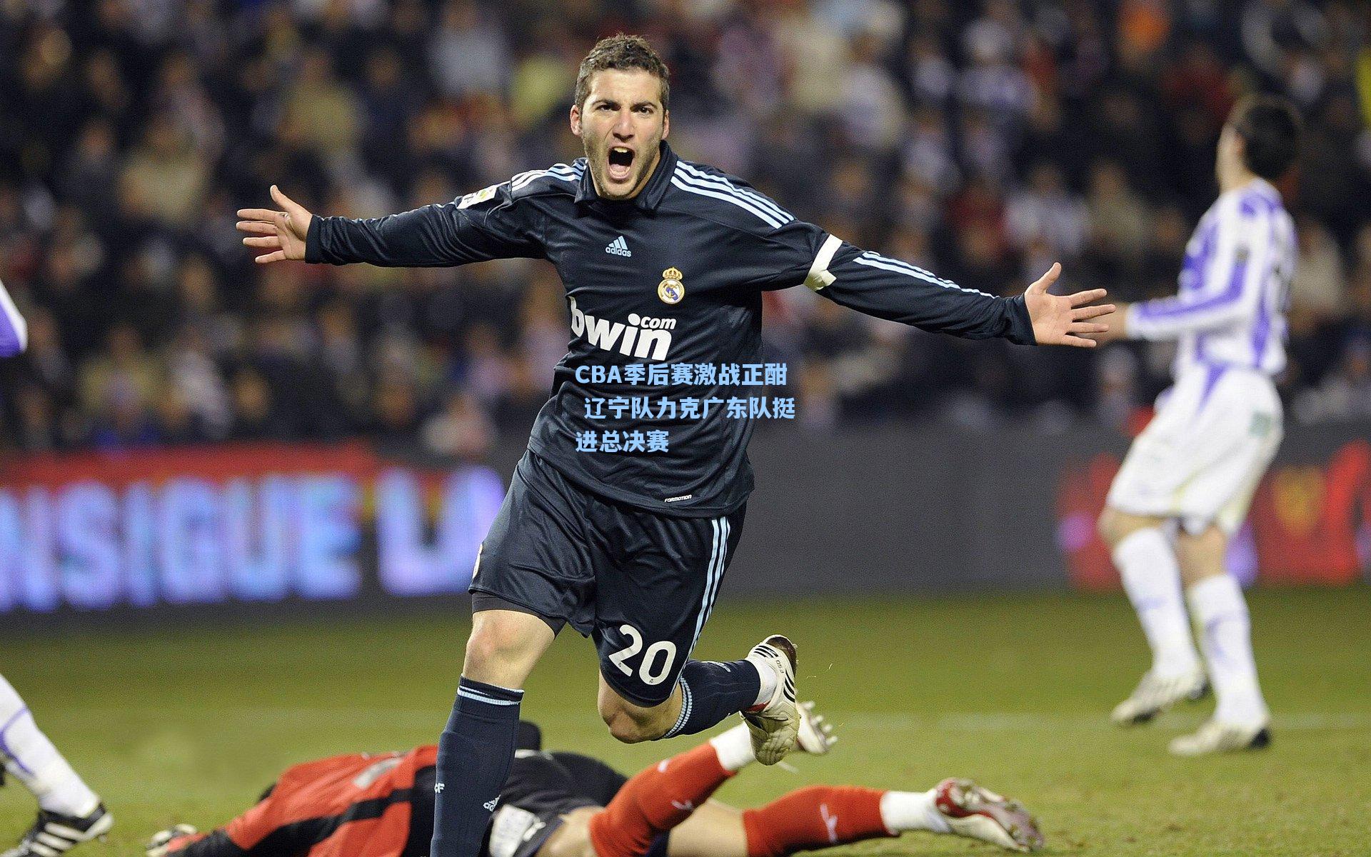 金年会登录入口_CBA季后赛激战正酣 辽宁队力克广东队挺进总决赛