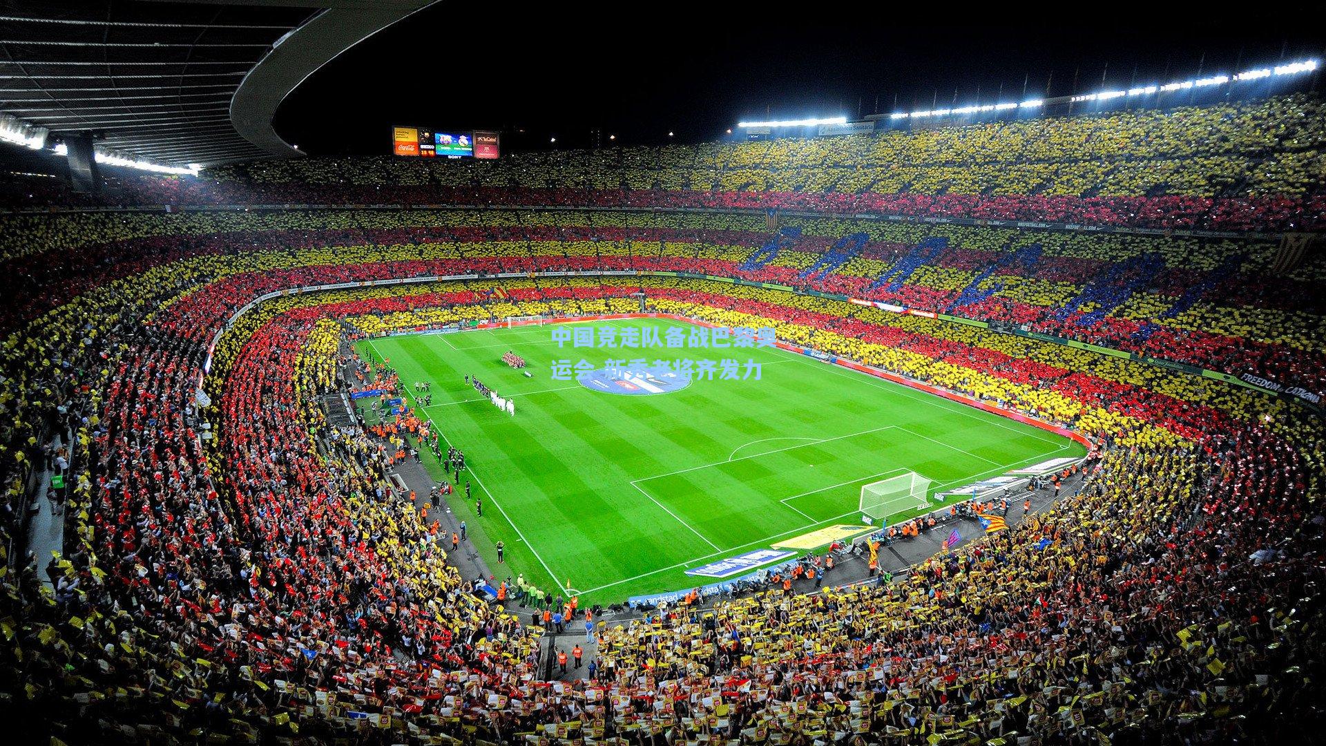 中国竞走队备战巴黎奥运会 新秀老将齐发力